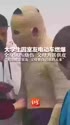 附圖