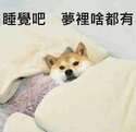 附圖