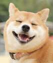 附圖