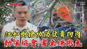附圖