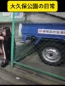 附圖
