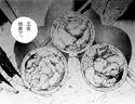 附圖