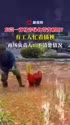 附圖