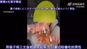 附圖