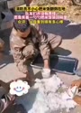 附圖