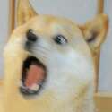 附圖