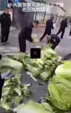 附圖