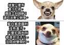 附圖