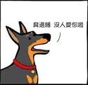 附圖