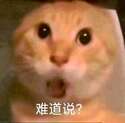 附圖