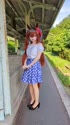 附圖
