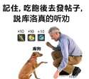 附圖