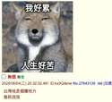 附圖
