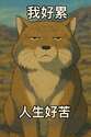 附圖
