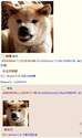 附圖