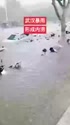 附圖