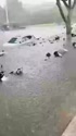 附圖