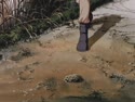 附圖