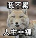 附圖