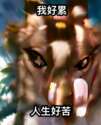 附圖