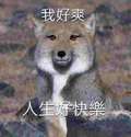 附圖
