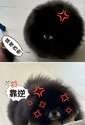 附圖