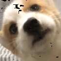 附圖