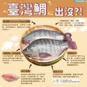 附圖