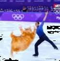 附圖