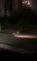 附圖