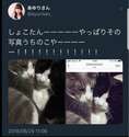 附圖
