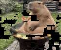 附圖