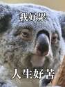 附圖