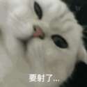 附圖