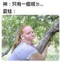 附圖