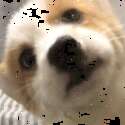 附圖