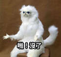 附圖