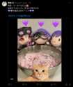 附圖