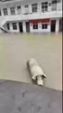 附圖