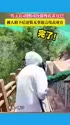 附圖