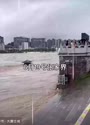 附圖