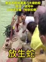 附圖