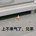 附圖