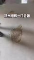附圖