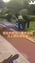 附圖