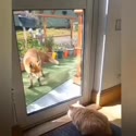 附圖