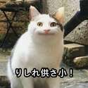 附圖
