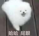 附圖