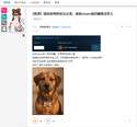 附圖
