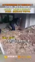 附圖